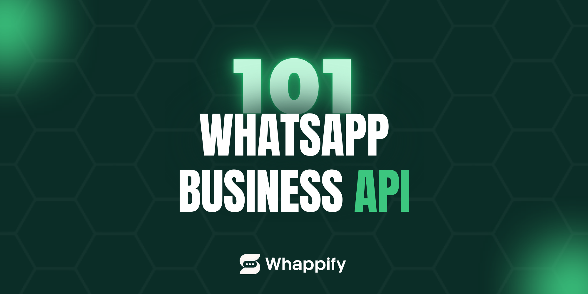 WhatsApp Business API 101