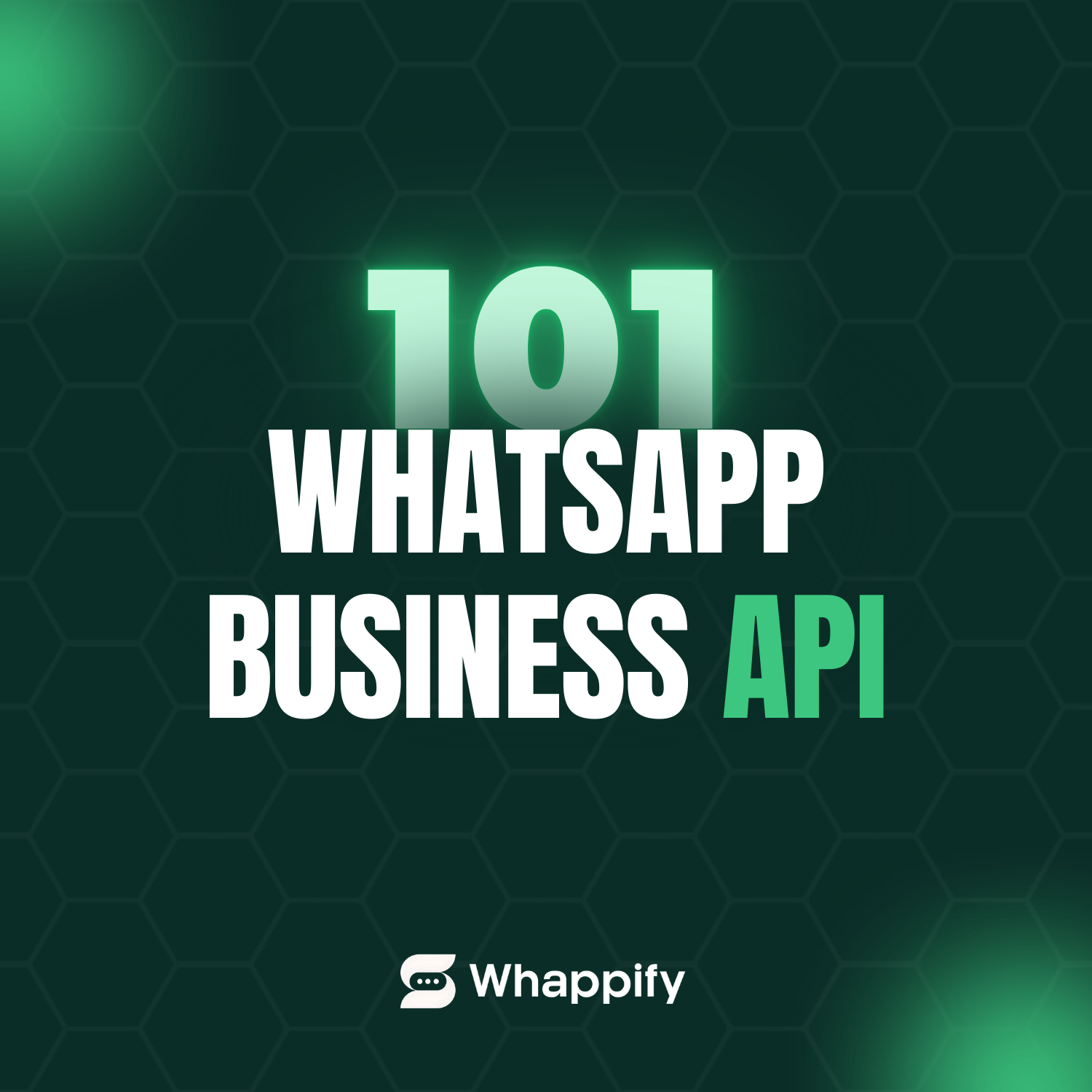 WhatsApp Business API 101